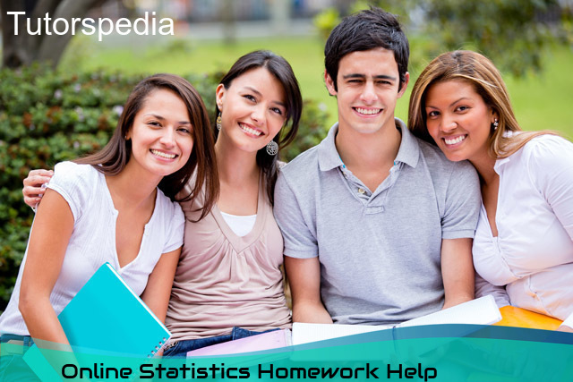Statistics homework service